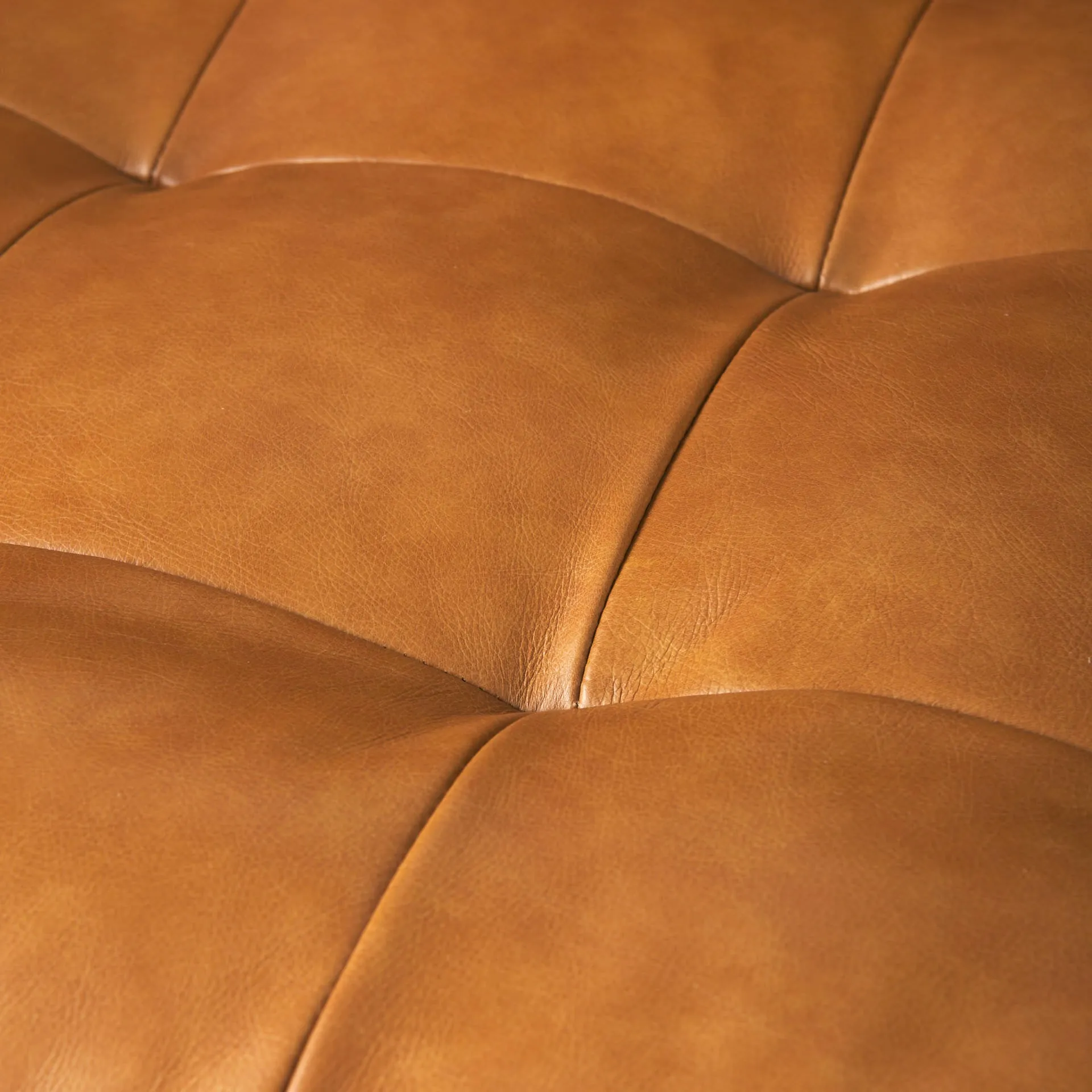 Arne Sofa in Tan Leather