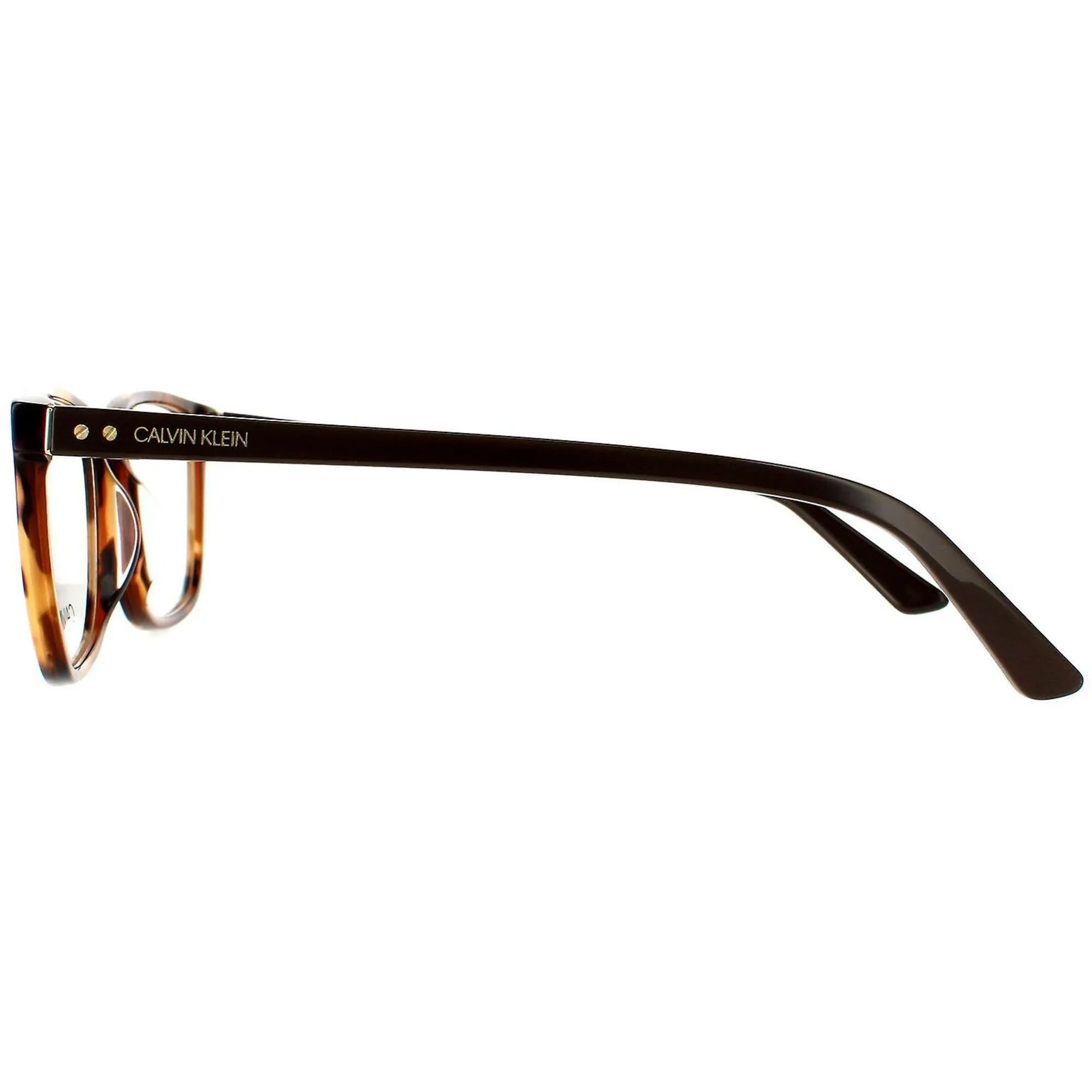 Calvin Klein Men's Eyeglasses - Honey Tortoise Plastic | CALVIN KLEIN CK20511 282