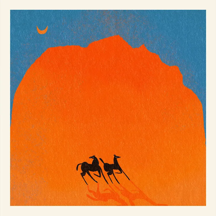 Enikő Eged - Horses of Wadi Rum
