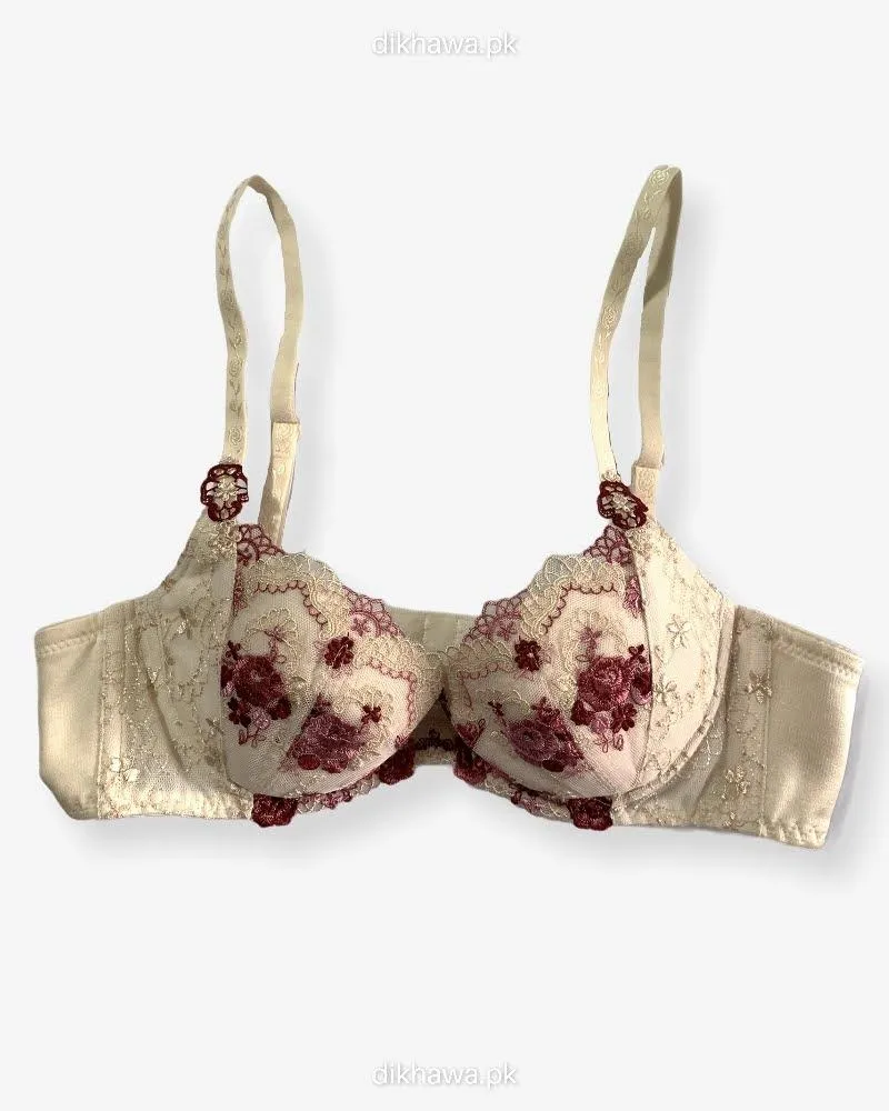 Imported Stocklot Branded  Net Pushup Bra - Underwired Bra  Non Padded Bra - Pack of 2