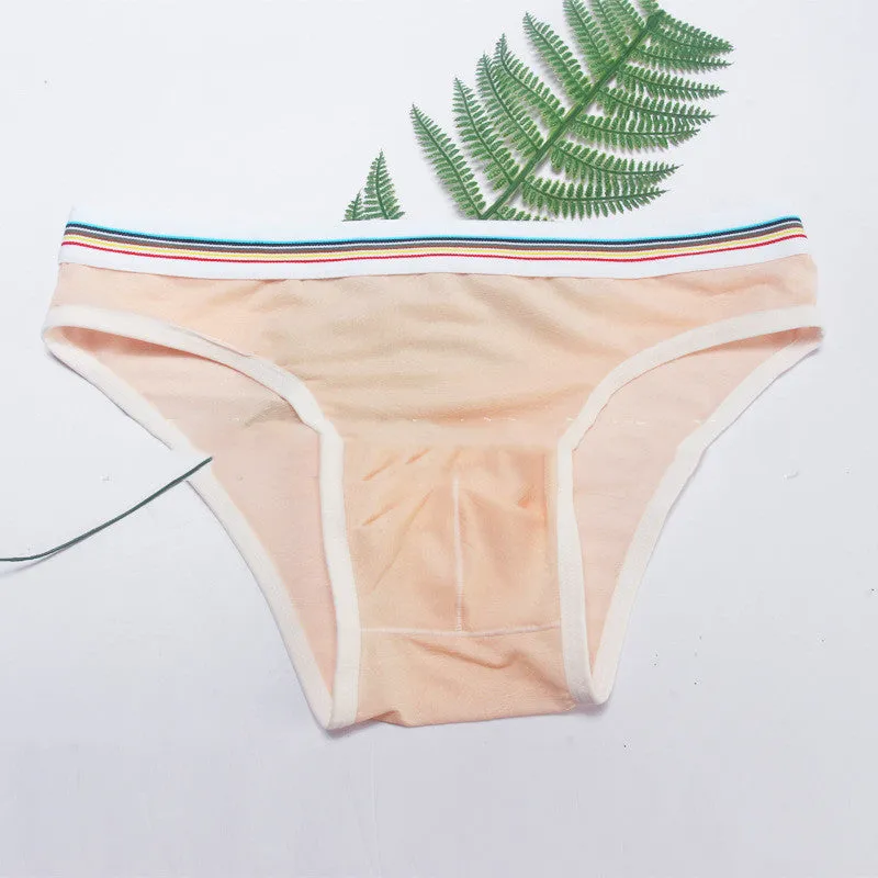 Men's Briefs Mesh Panties