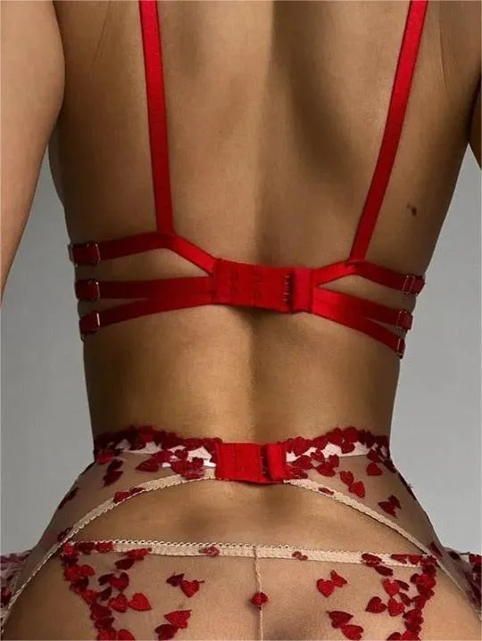 Romantic Red Heart Embroidered See-through Lingerie