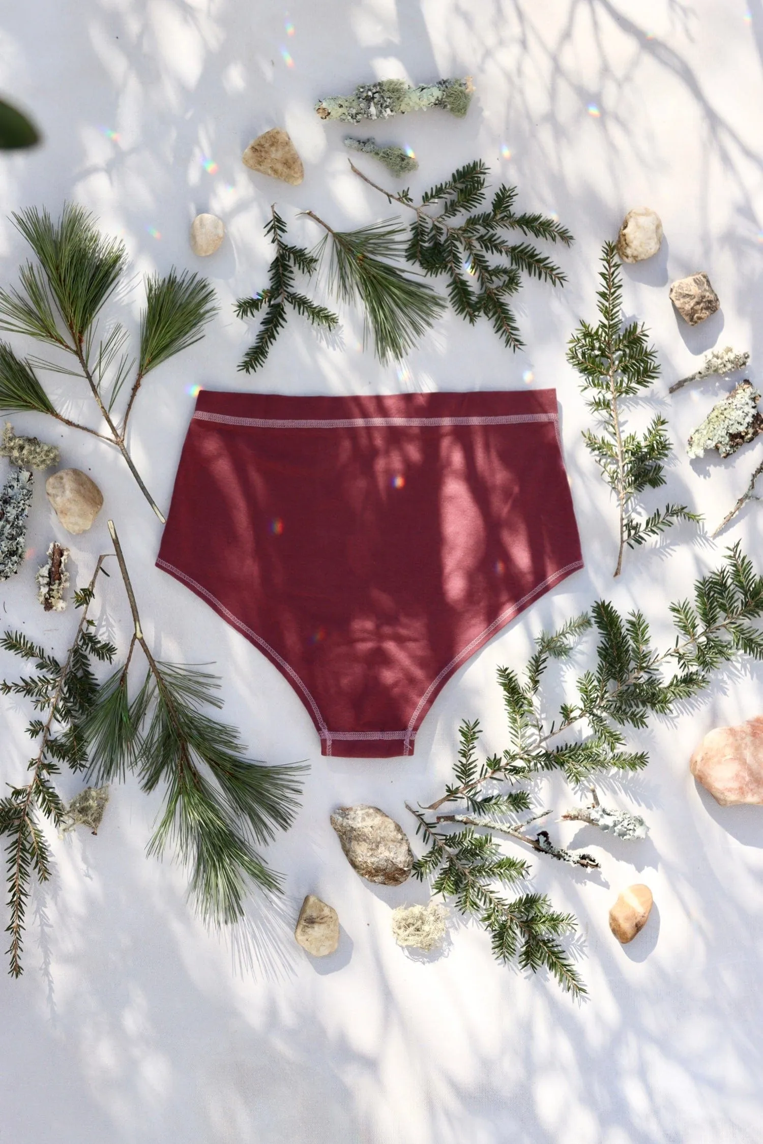 The Wolf Cheeky Briefs